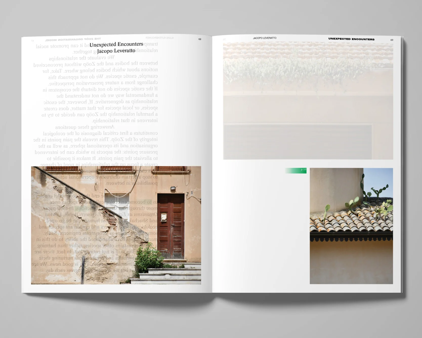 Image of Decentering Design — Practice in a More-than- human World