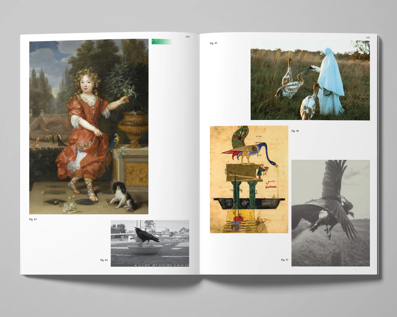 Image of Decentering Design — Practice in a More-than- human World