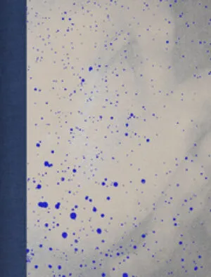 Image of Blind Spot
