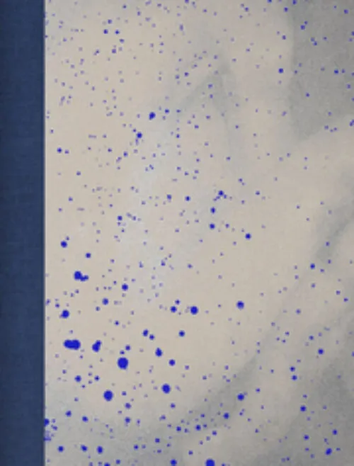 Cover Julie van der Vaart – Blind Spot