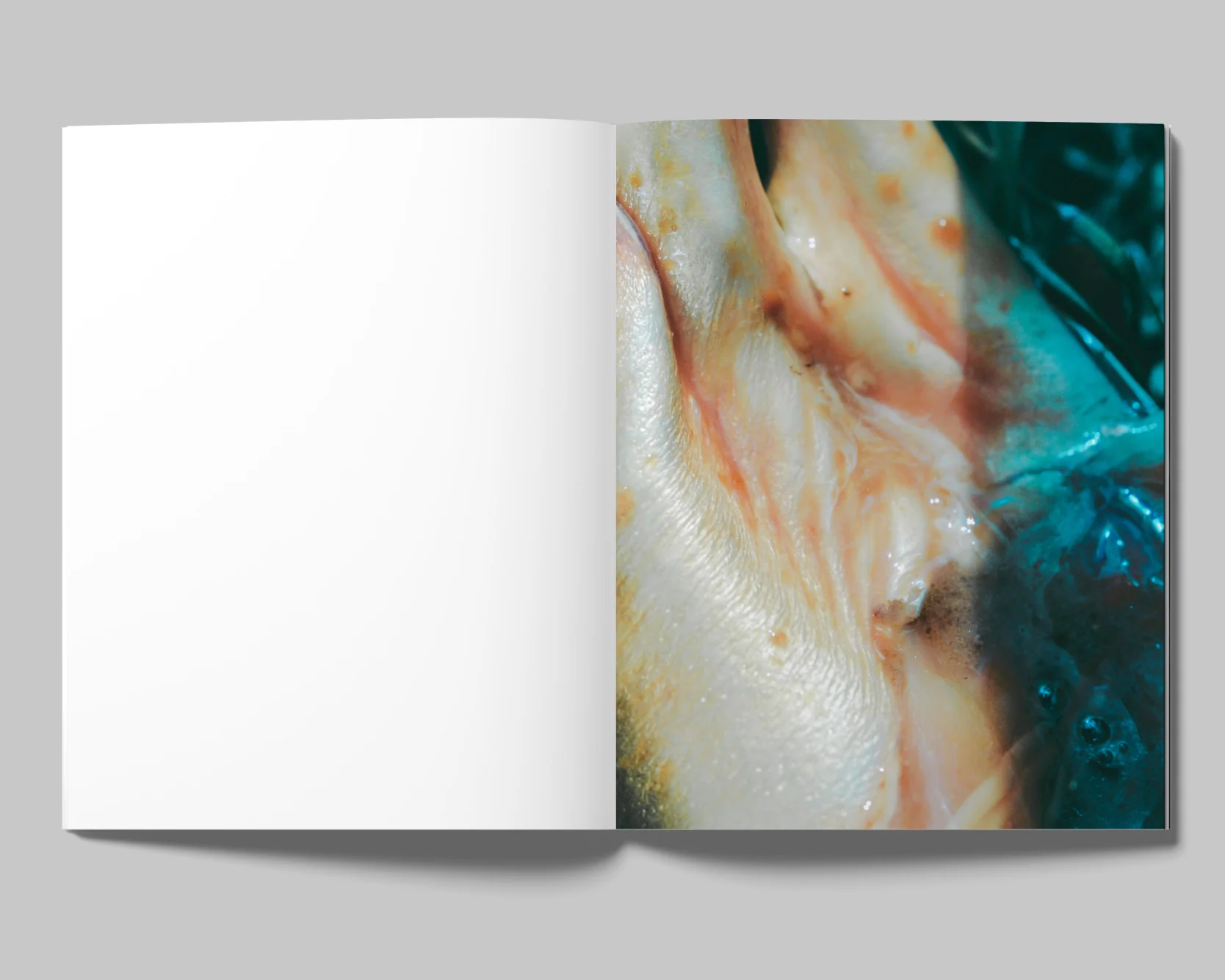 Image of Lucile Boiron – Bouche