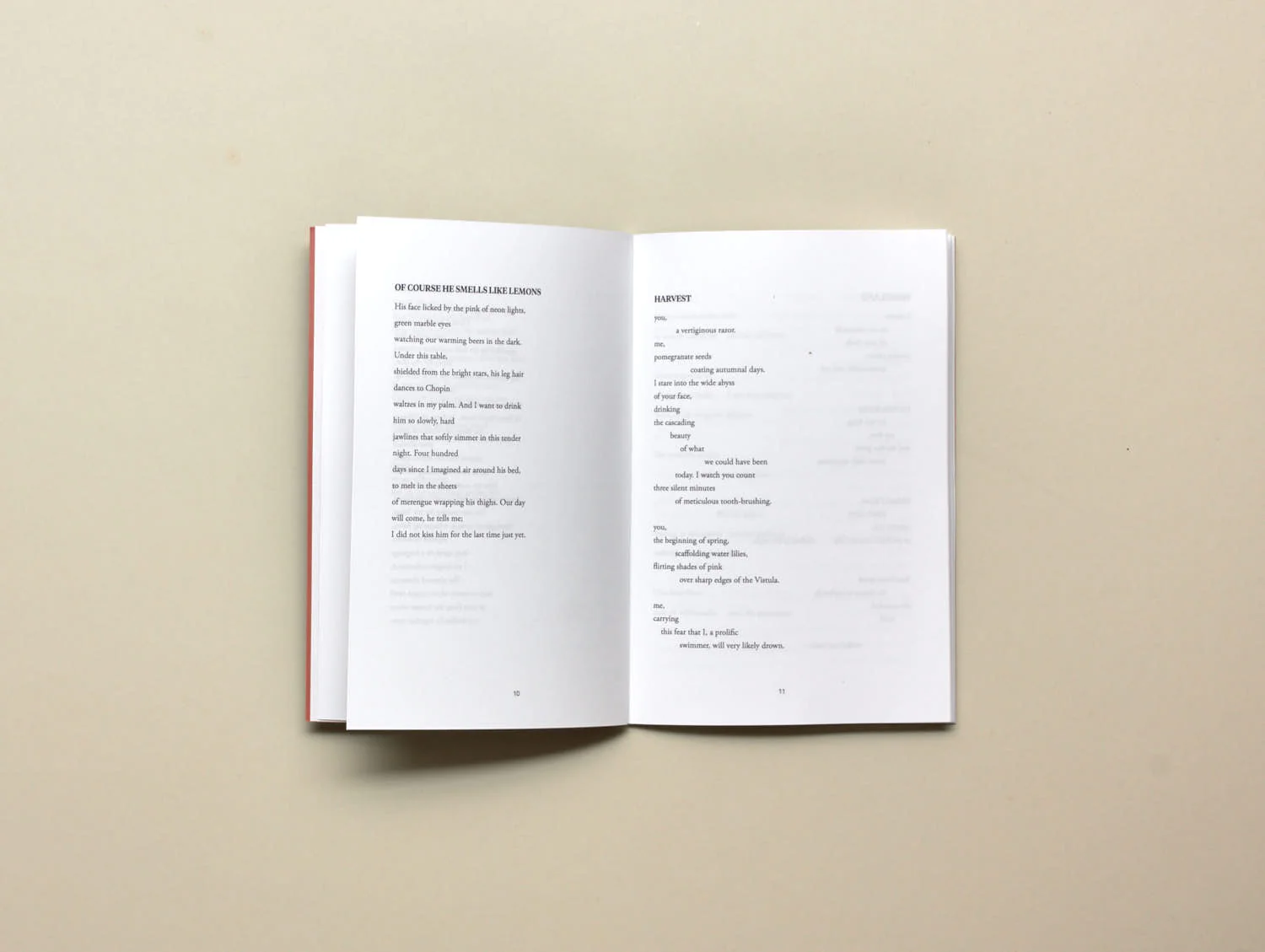 Image of Luís Costa – Two Dying Lovers Holding a Cat