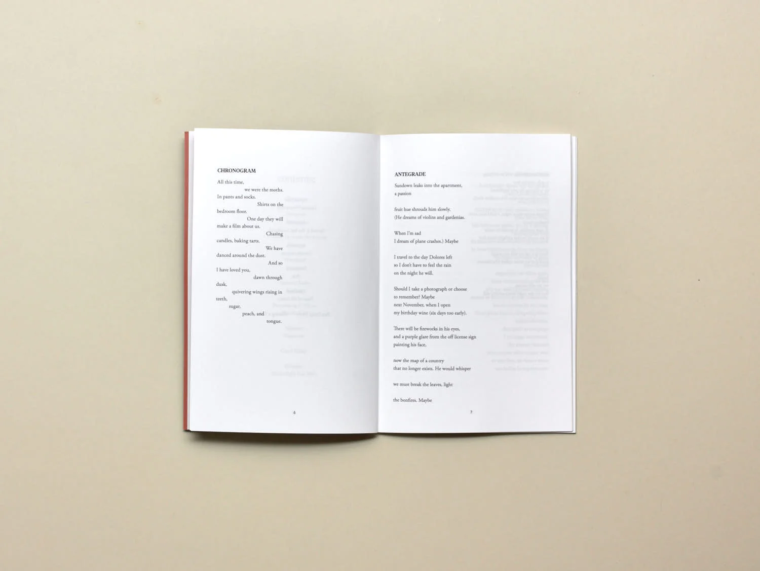 Image of Luís Costa – Two Dying Lovers Holding a Cat