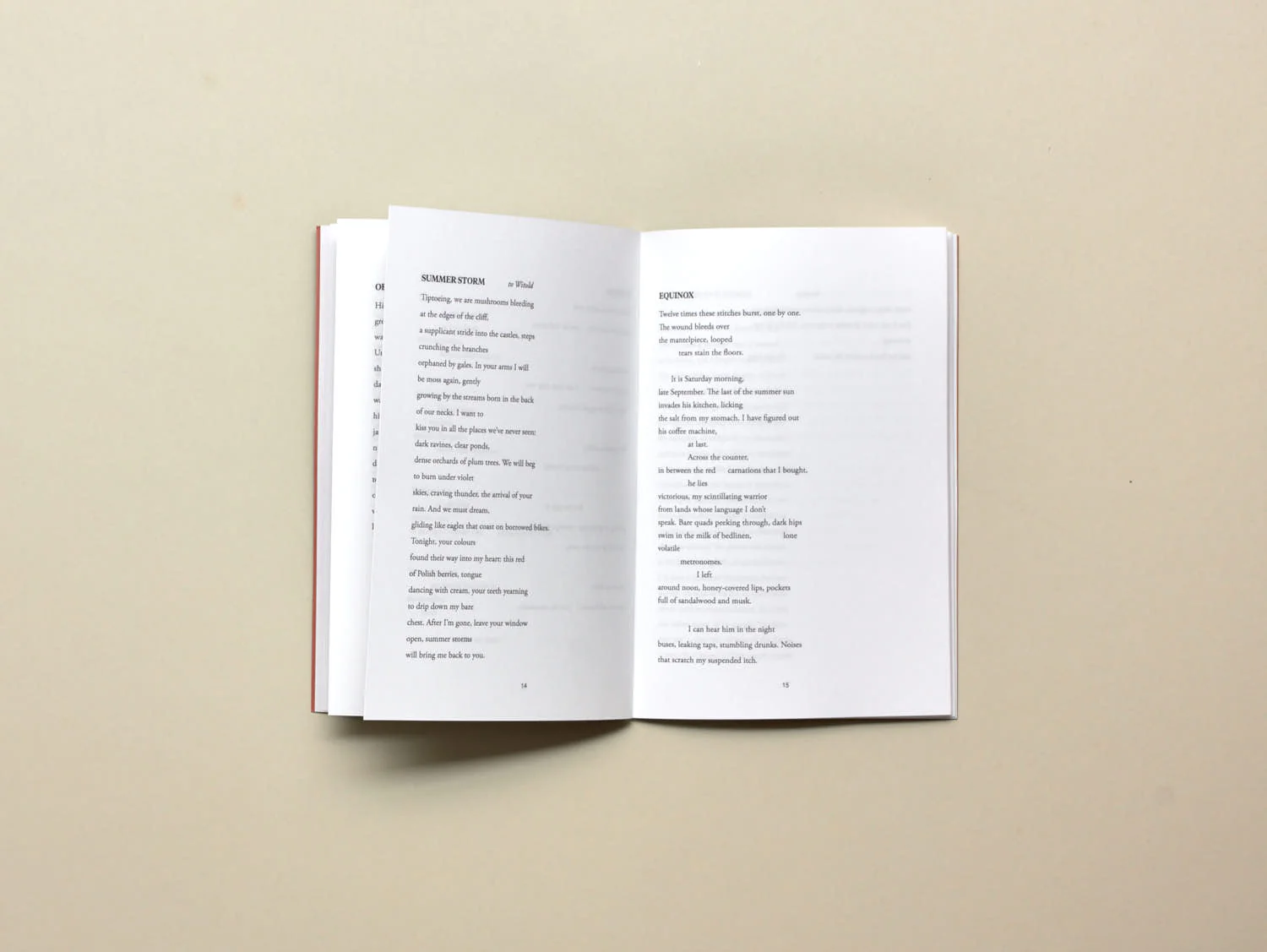 Image of Luís Costa – Two Dying Lovers Holding a Cat