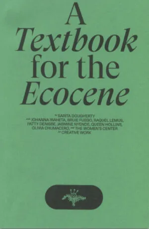 Image of A Textbook for the Ecocene