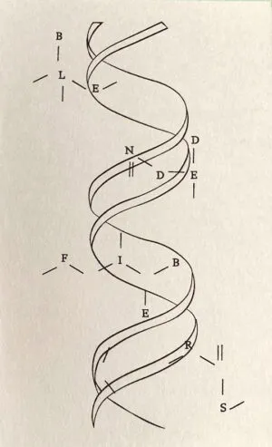 Image of Blended Fibers