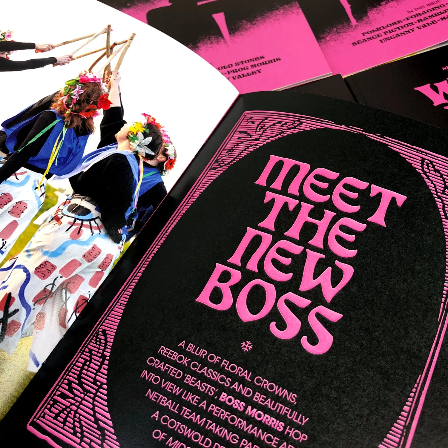 Image of Weird Walk Zine Issue 2