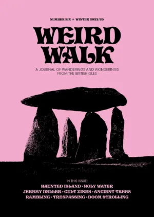 Image of Weird Walk Zine Issue 6