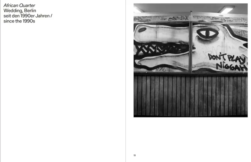 Image of Akinbode Akinbiyi – Being, Seeing, Wandering