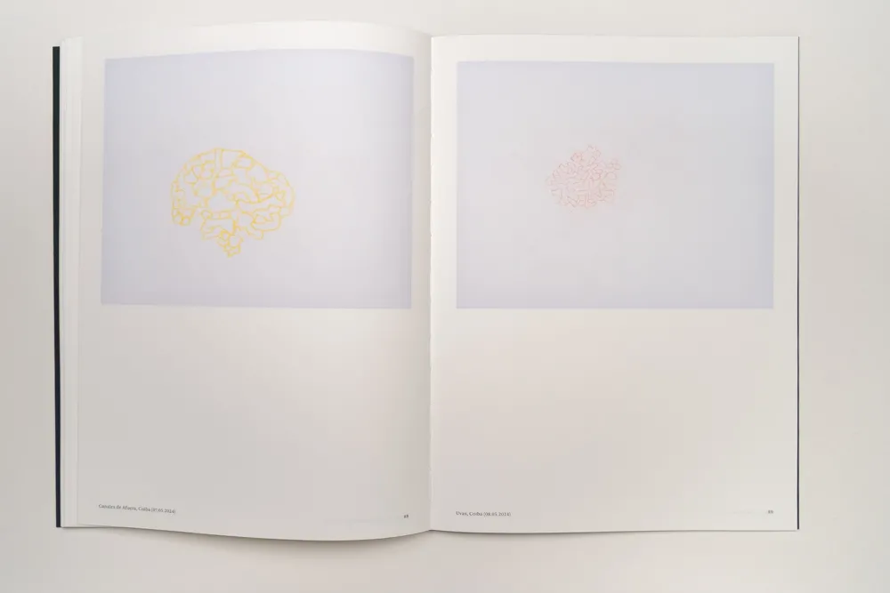 Image of Irene Kopelman – A Matter of Framing. Notes on Representation Vol. 13