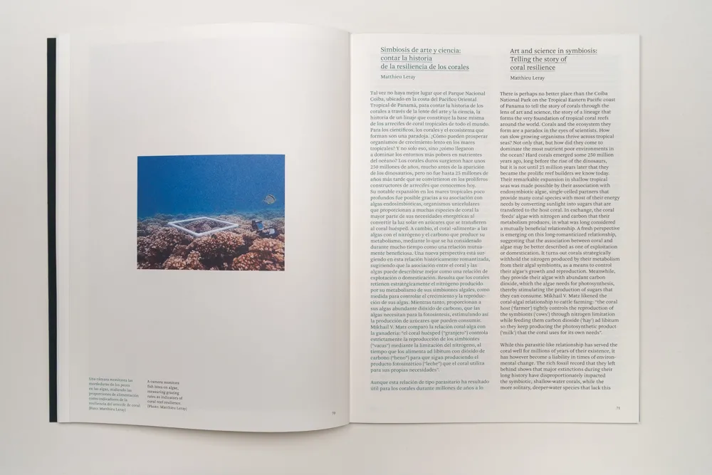 Image of Irene Kopelman – A Matter of Framing. Notes on Representation Vol. 13