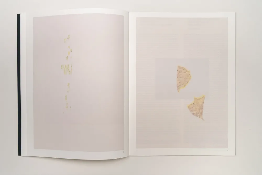 Image of Irene Kopelman – A Matter of Framing. Notes on Representation Vol. 13