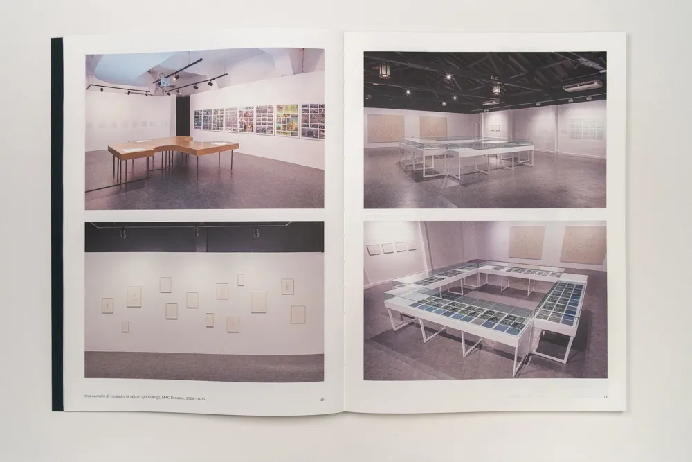 Image of Irene Kopelman – A Matter of Framing. Notes on Representation Vol. 13