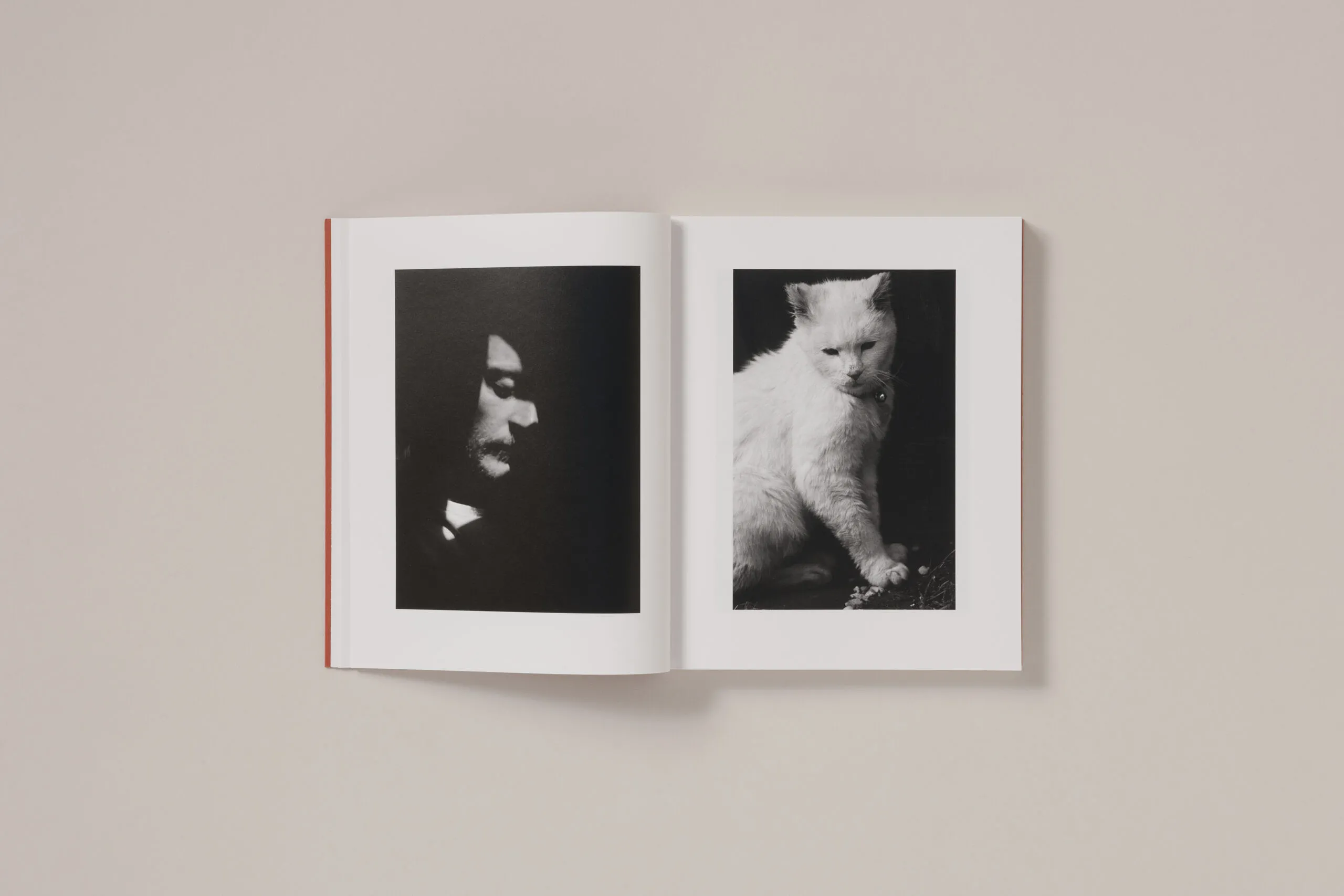 Image of Katrin Koenning – between the skin and sea