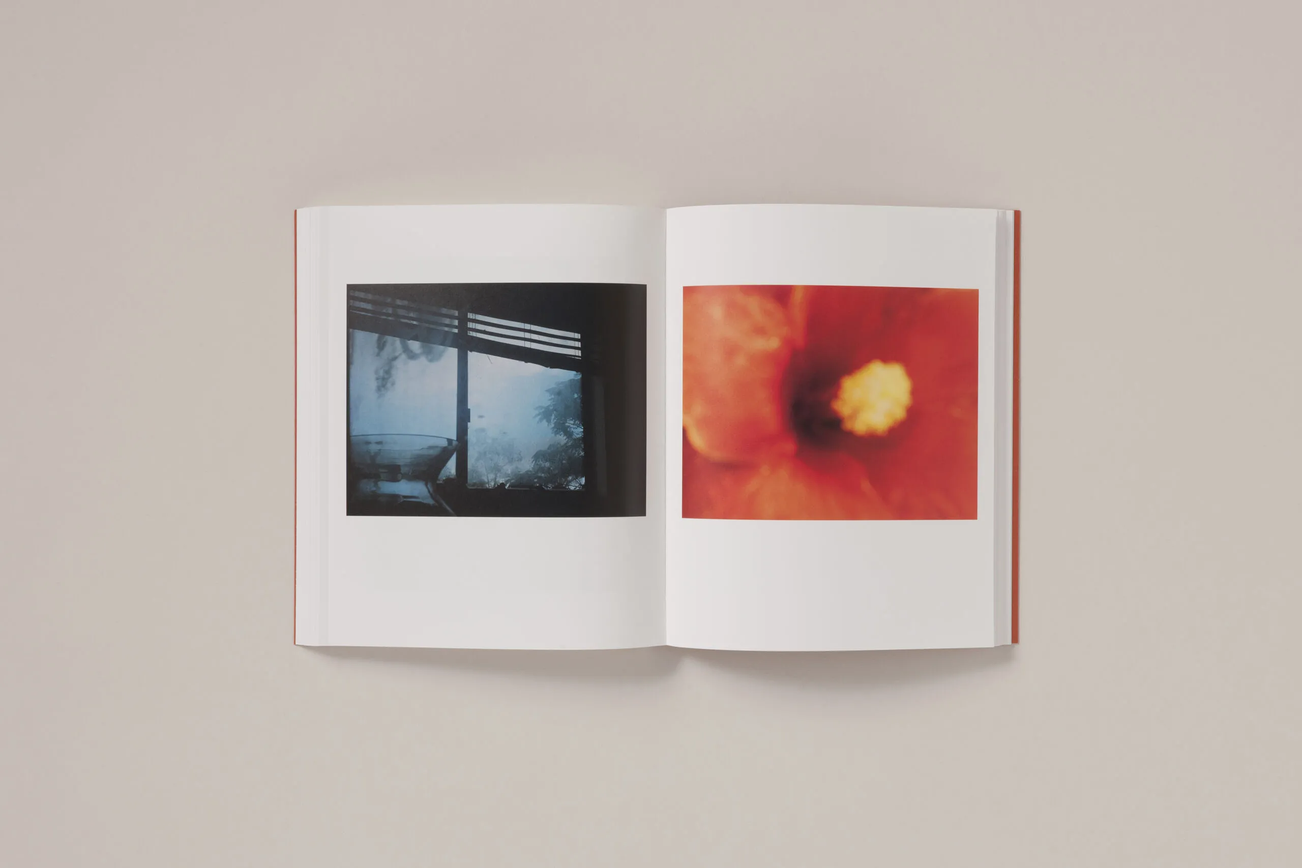 Image of Katrin Koenning – between the skin and sea