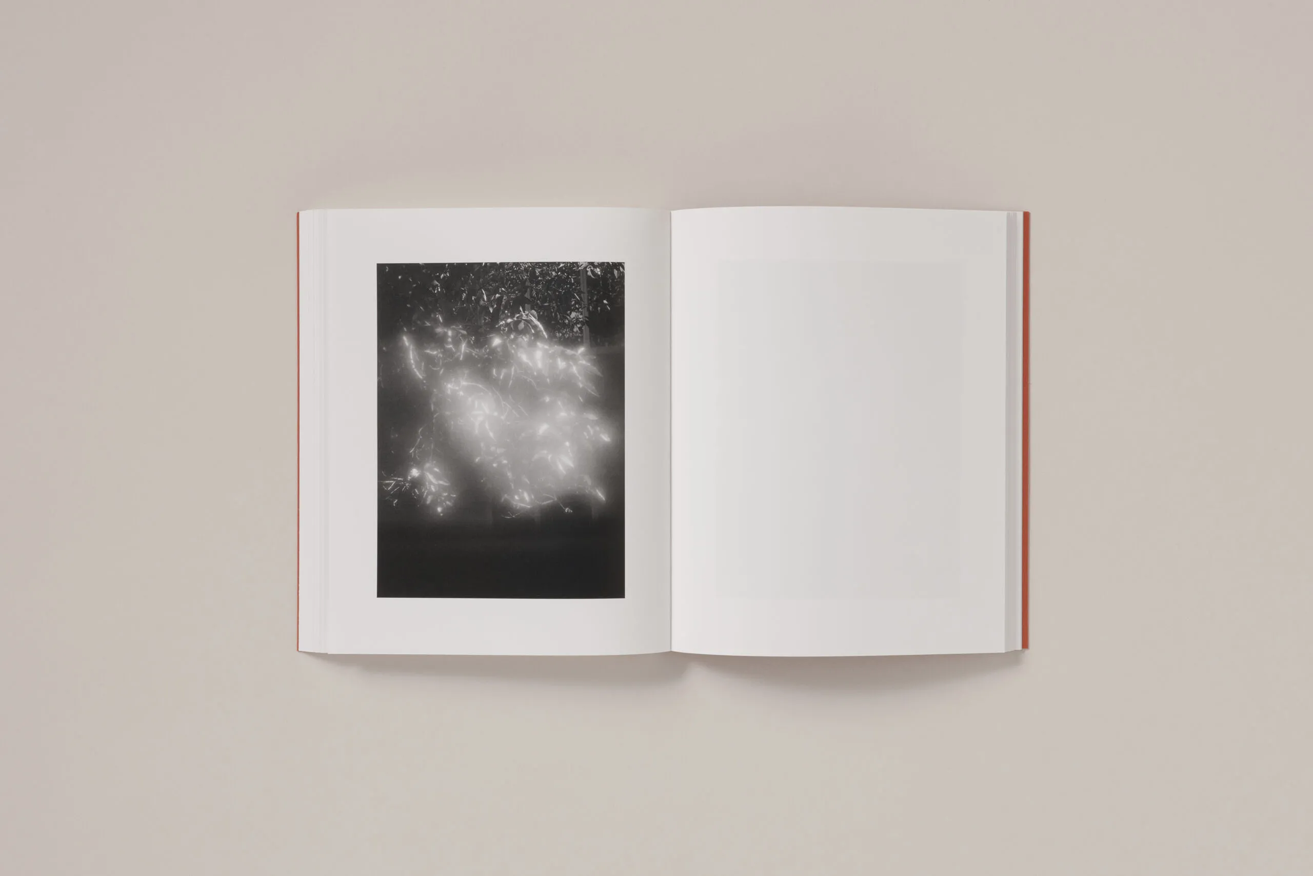 Image of Katrin Koenning – between the skin and sea