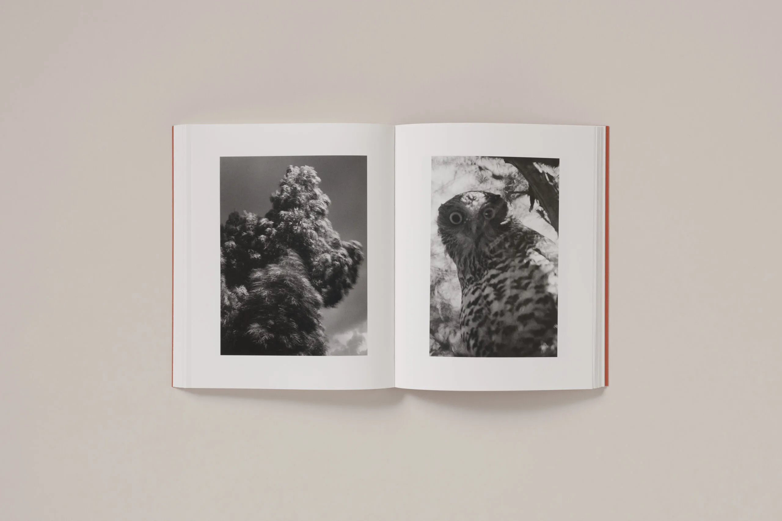 Image of Katrin Koenning – between the skin and sea