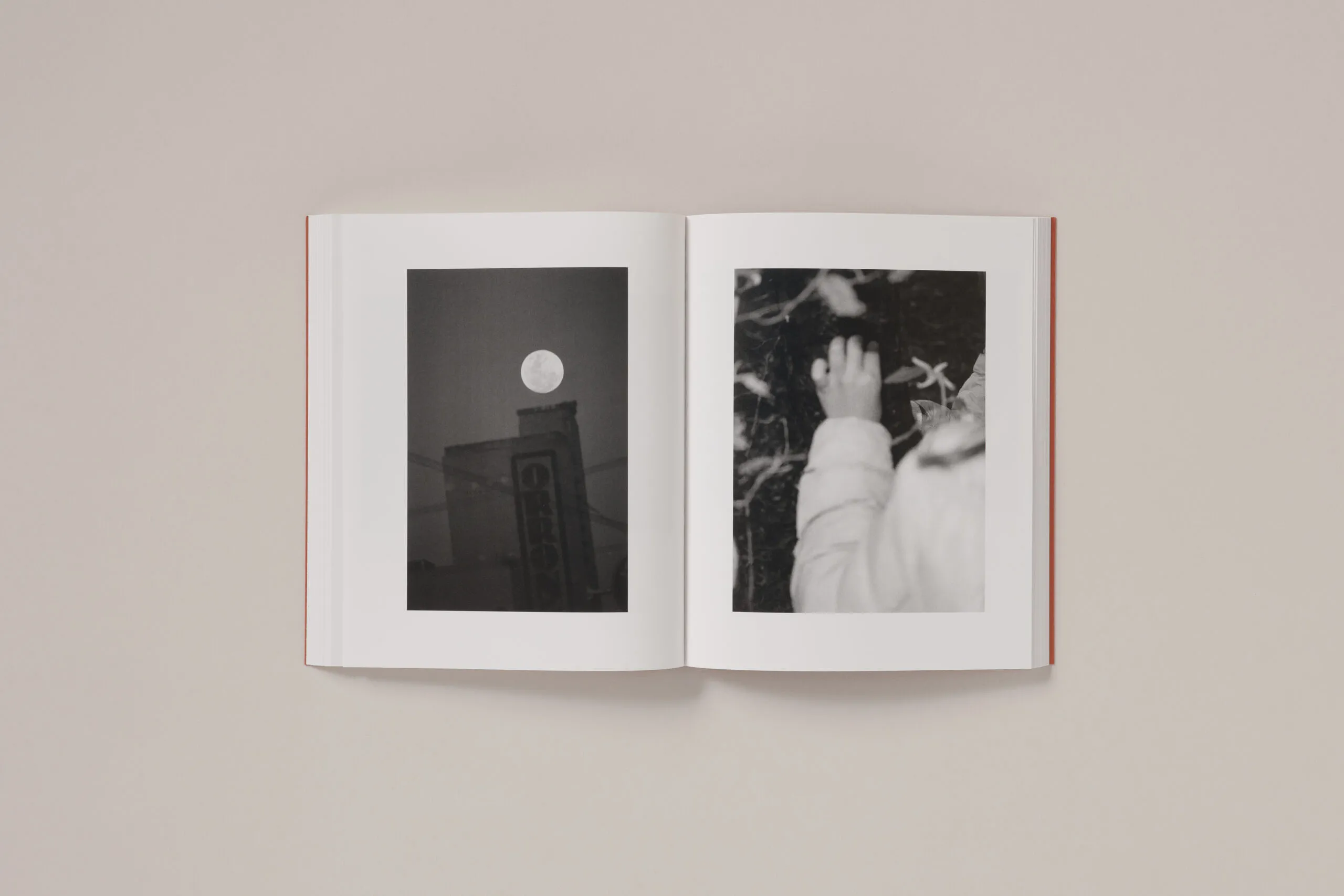 Image of Katrin Koenning – between the skin and sea