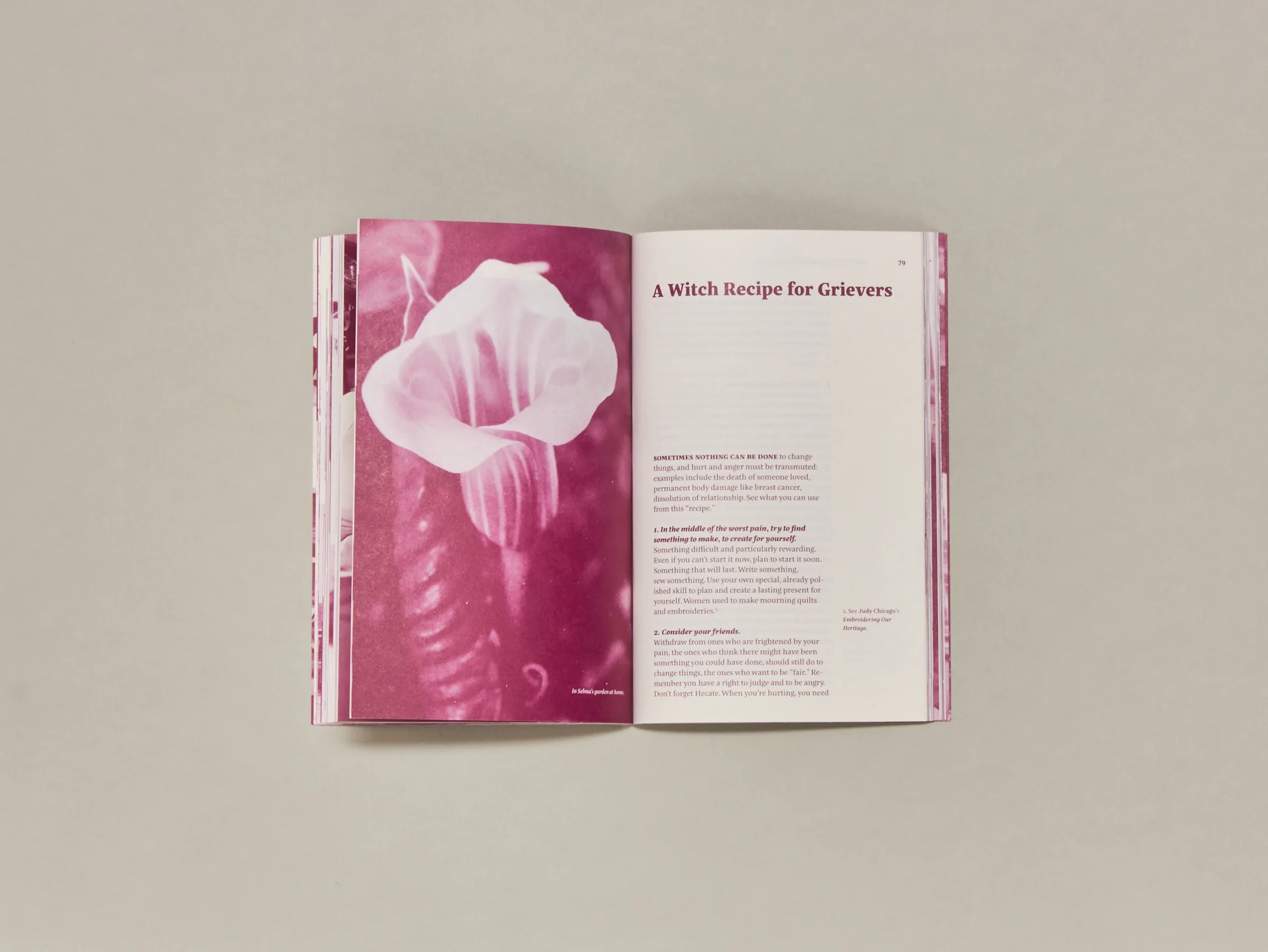 Image of Our daily lives have to be a satisfaction in themselves: 40 years of Bloodroot