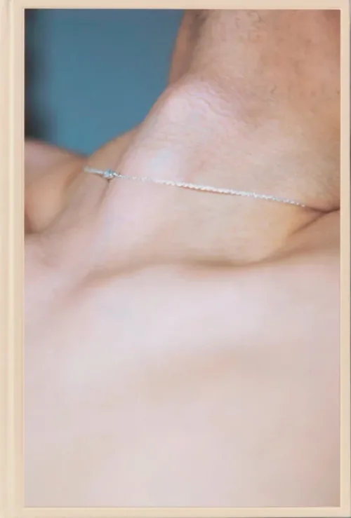 Cover Shen Wei – A Season Particular