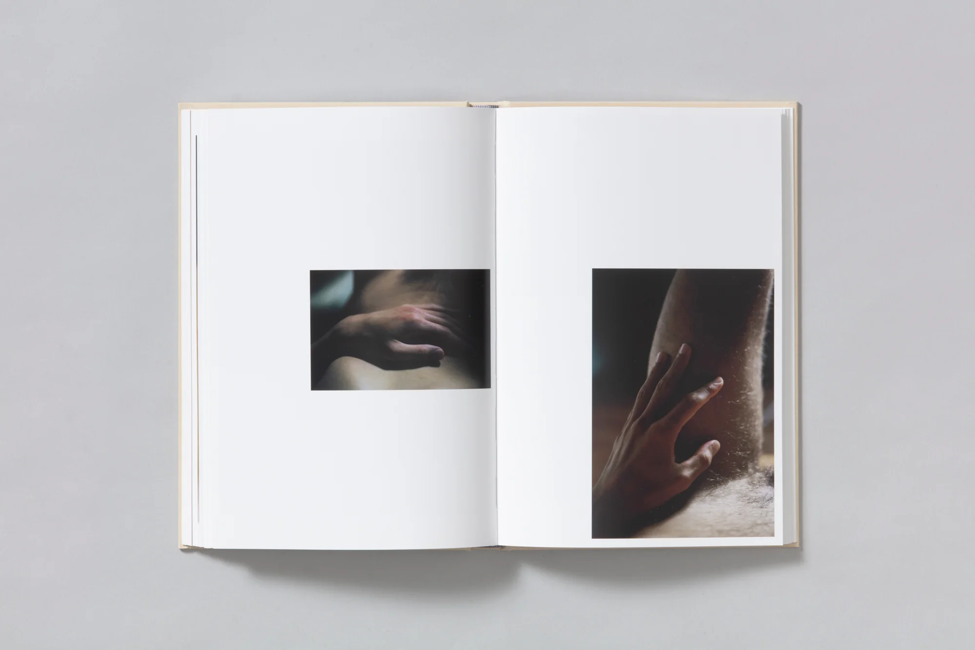 Image of Shen Wei – A Season Particular