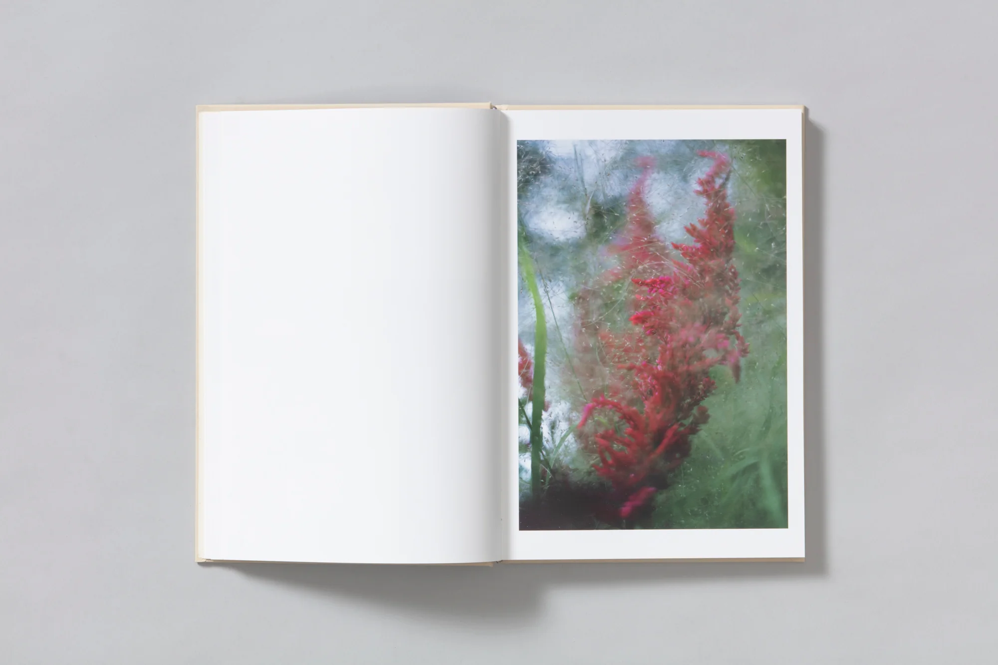 Image of Shen Wei – A Season Particular