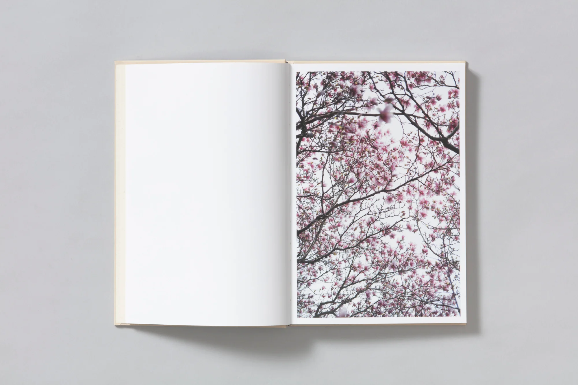 Image of Shen Wei – A Season Particular