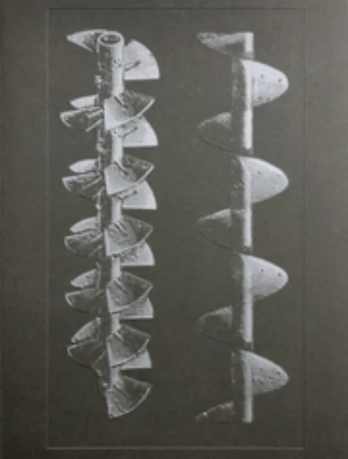 La Nonpareille / The Incomparable by Batia Suter. Published by Roma Publications, 2025 La Nonpareille / The Incomparable by Batia Suter. Published by Roma Publications, 2025