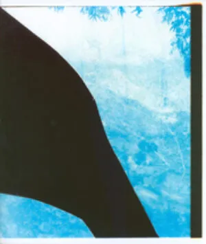 Image of Constructed Landscapes: Addendum