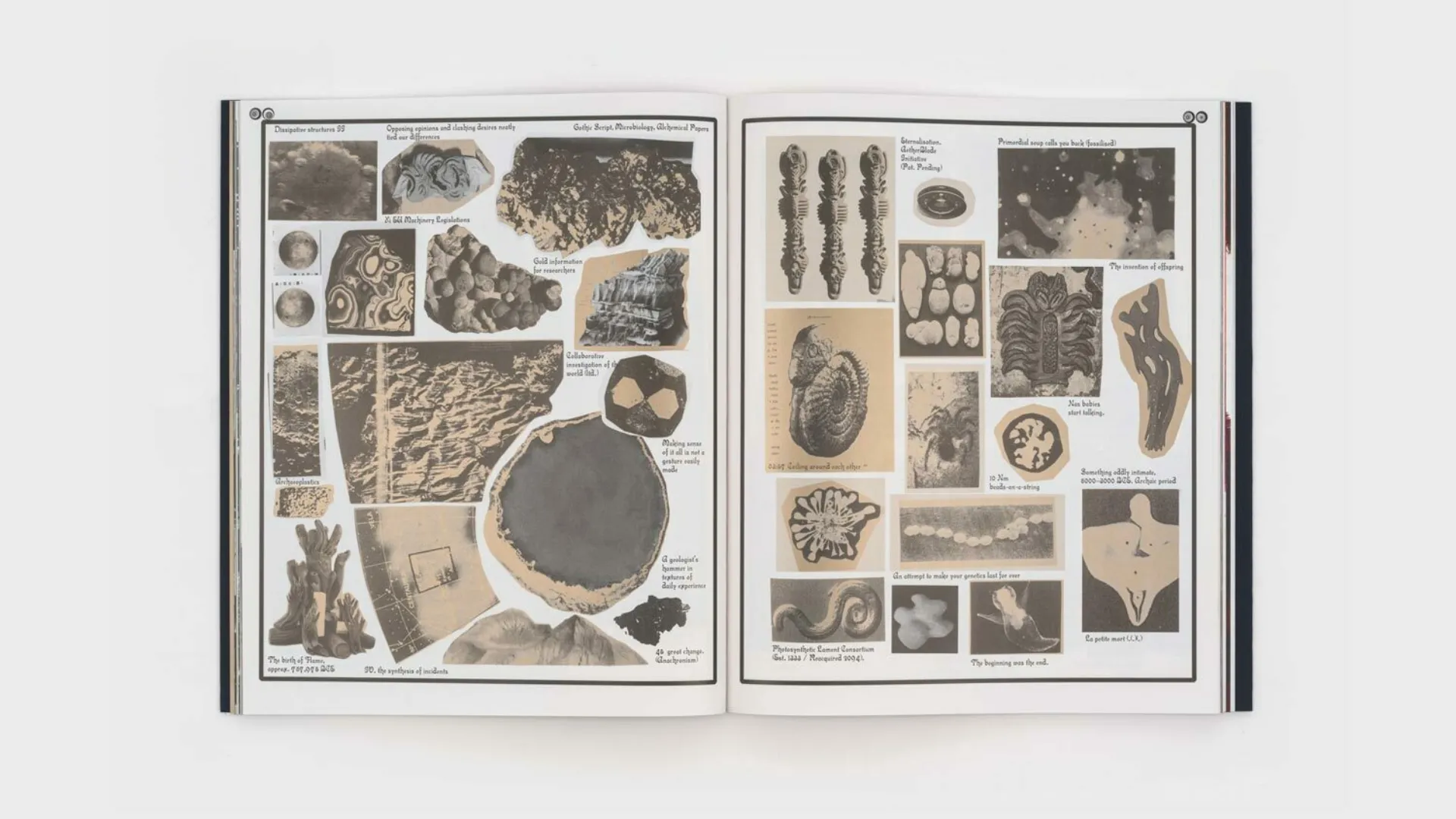 Image of Sharon Van Overmeiren – Jacuzzi of Despair