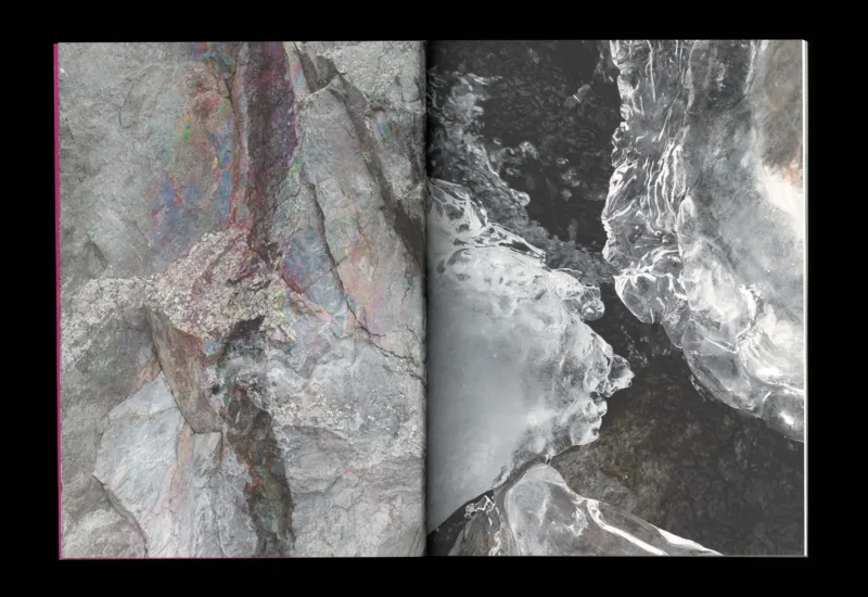 Image of Shelter Cookbook