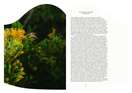 Image of Laure Prouvost – Au fort les âmes sont