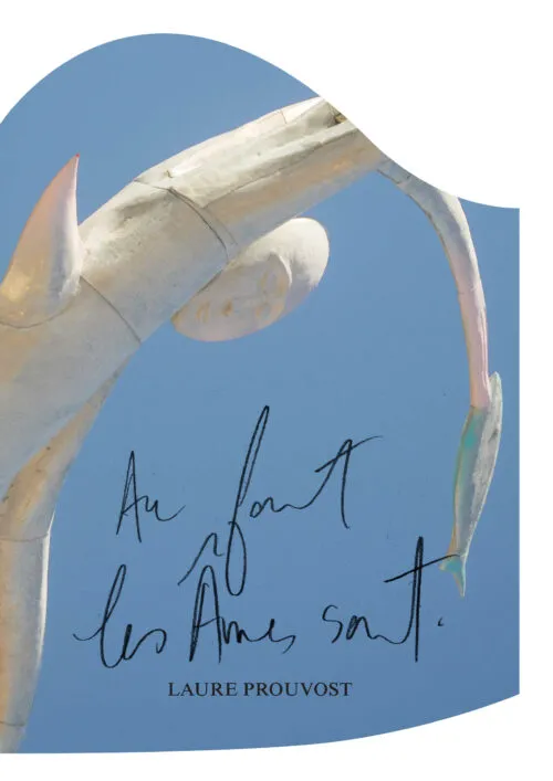 Cover Laure Prouvost – Au fort les âmes sont