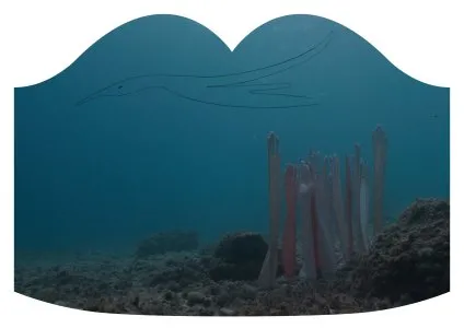 Image of Laure Prouvost – Au fort les âmes sont