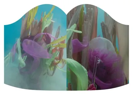 Image of Laure Prouvost – Au fort les âmes sont