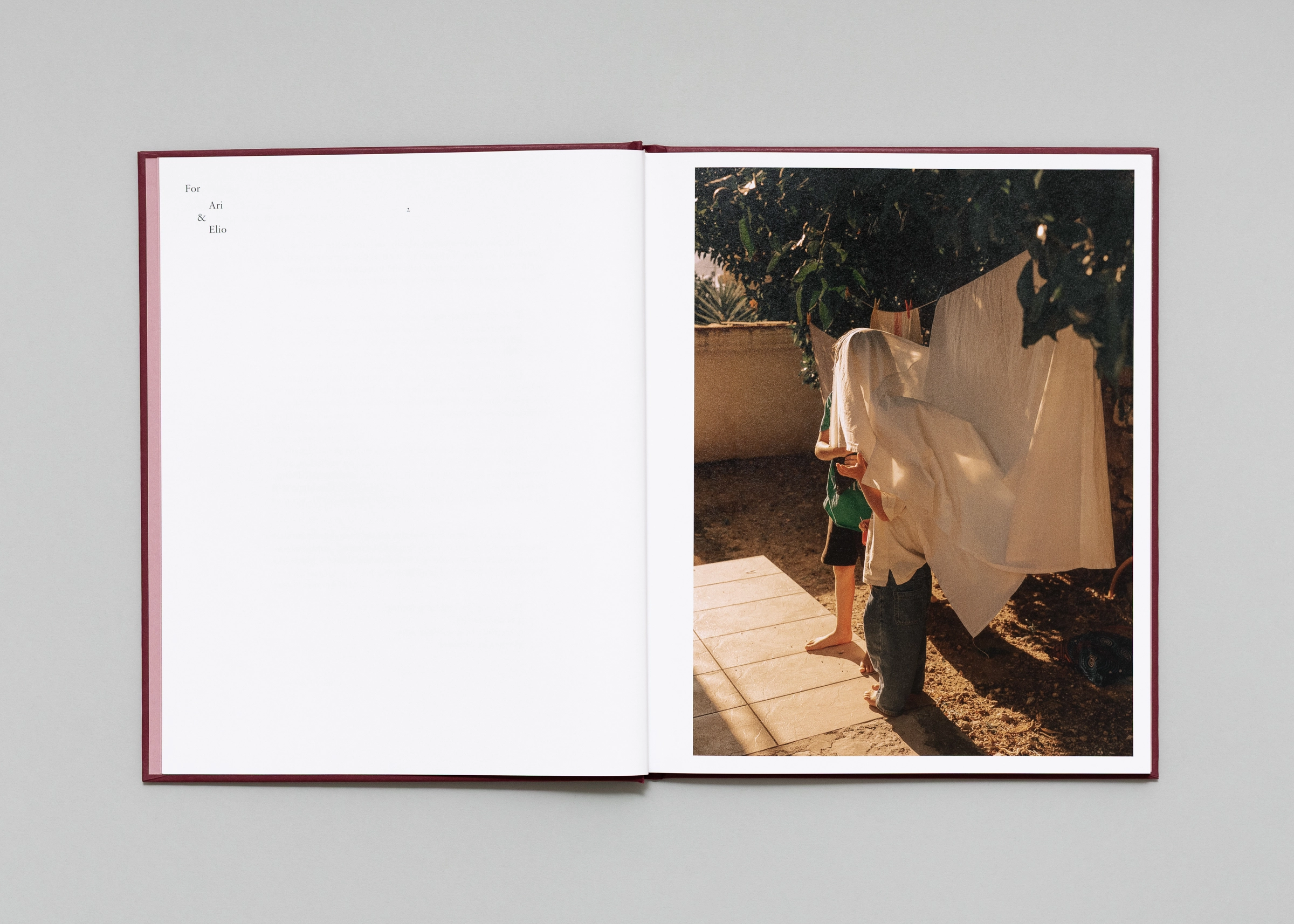 Image of Lisa Sorgini – In-Passing