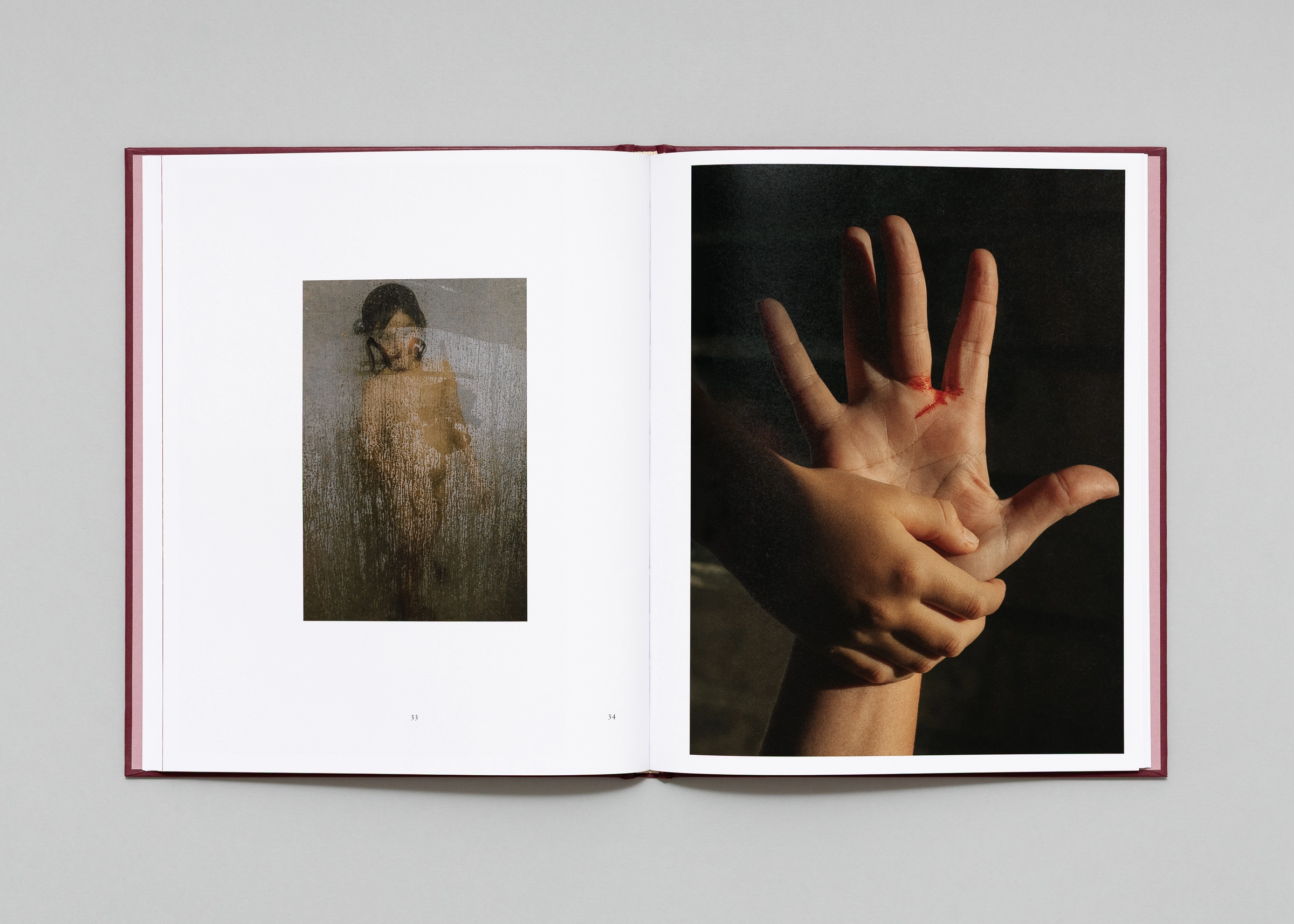 Image of Lisa Sorgini – In-Passing