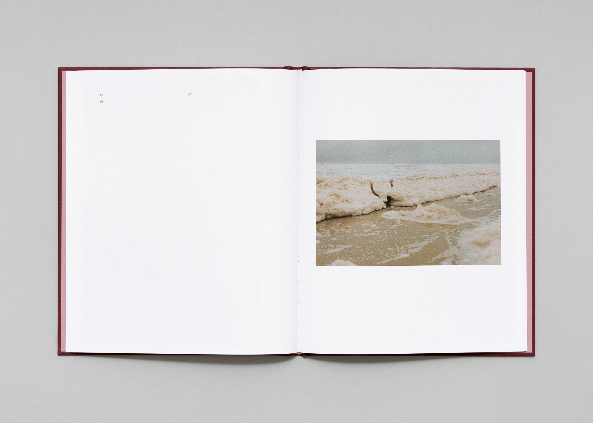 Image of Lisa Sorgini – In-Passing