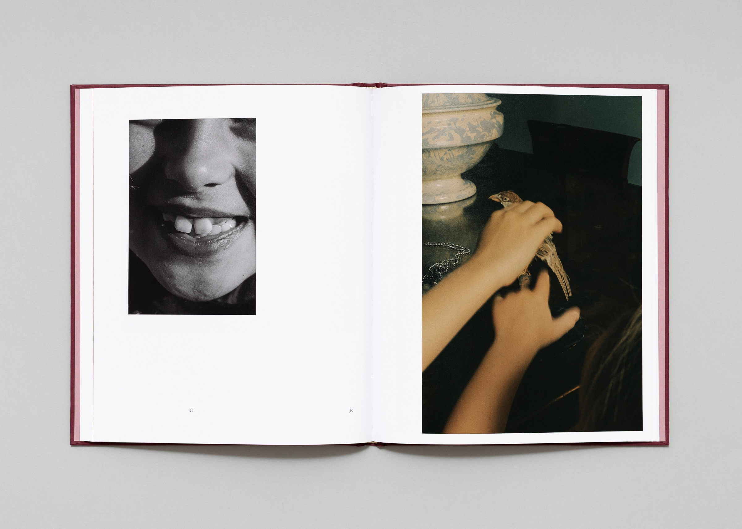 Image of Lisa Sorgini – In-Passing