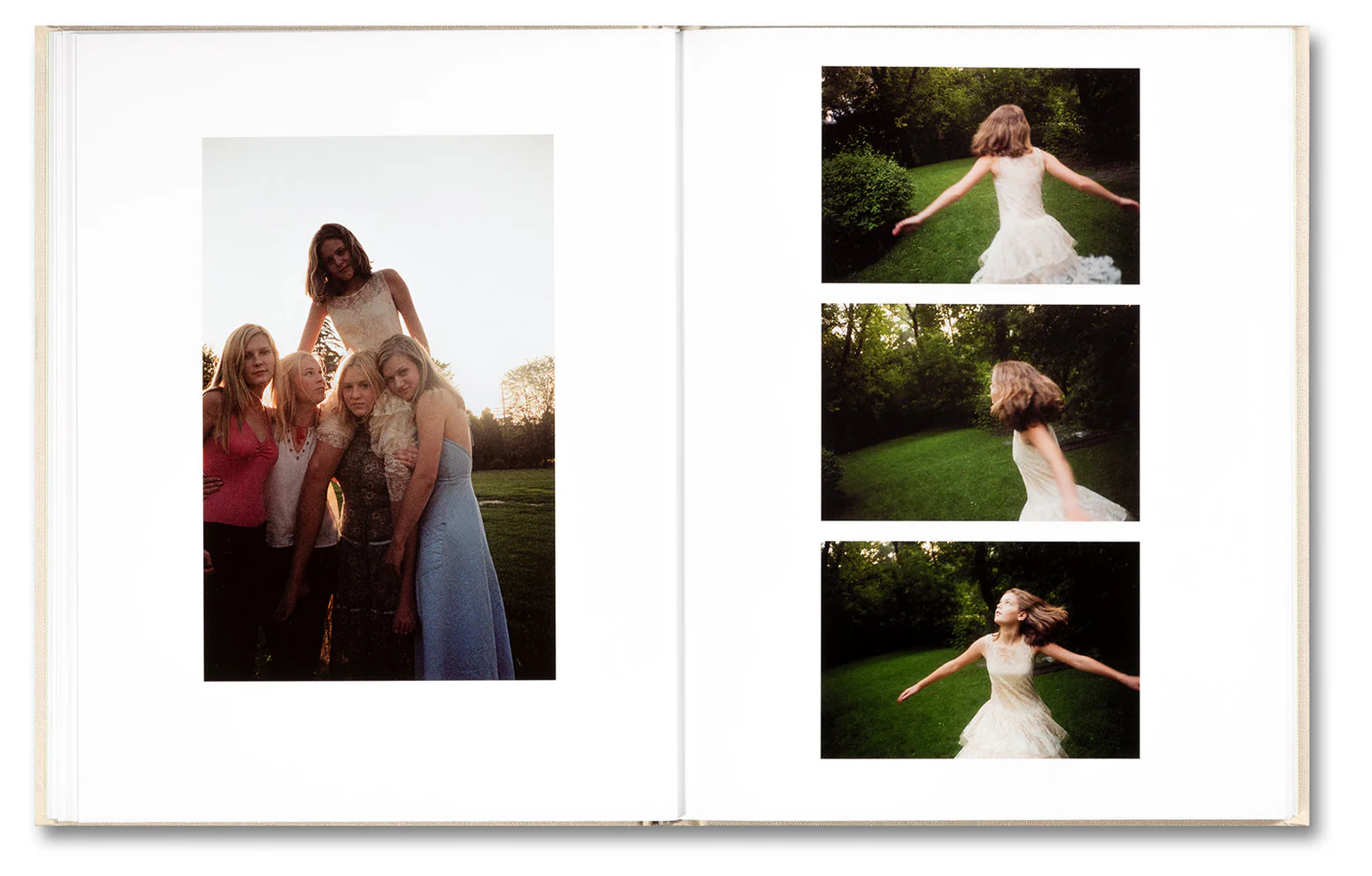 Image of Sofia Coppola – The Virgin Suicides