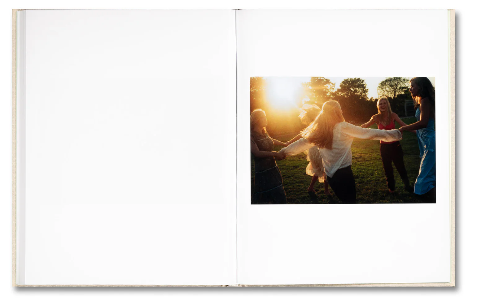 Image of Sofia Coppola – The Virgin Suicides