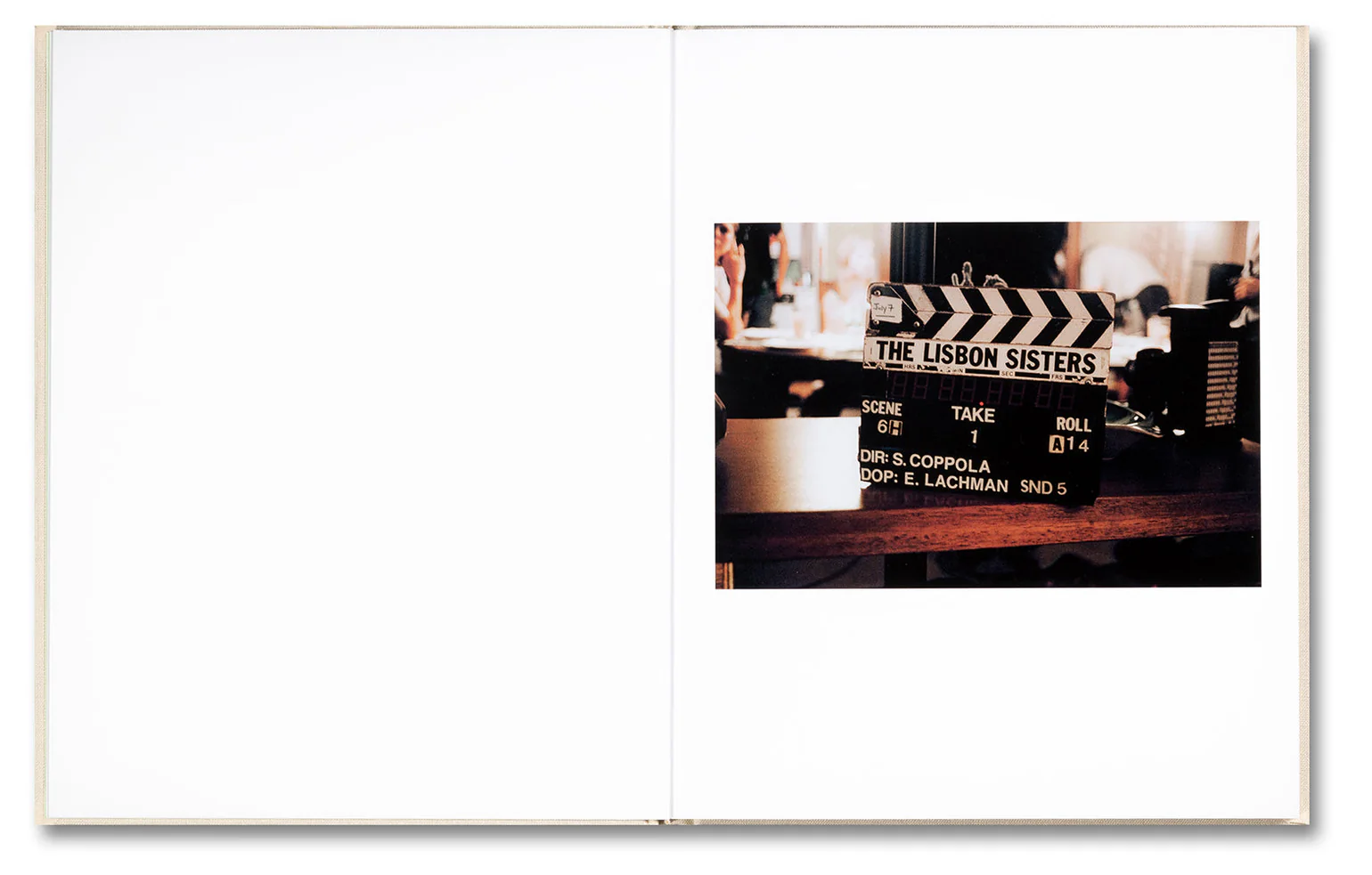 Image of Sofia Coppola – The Virgin Suicides