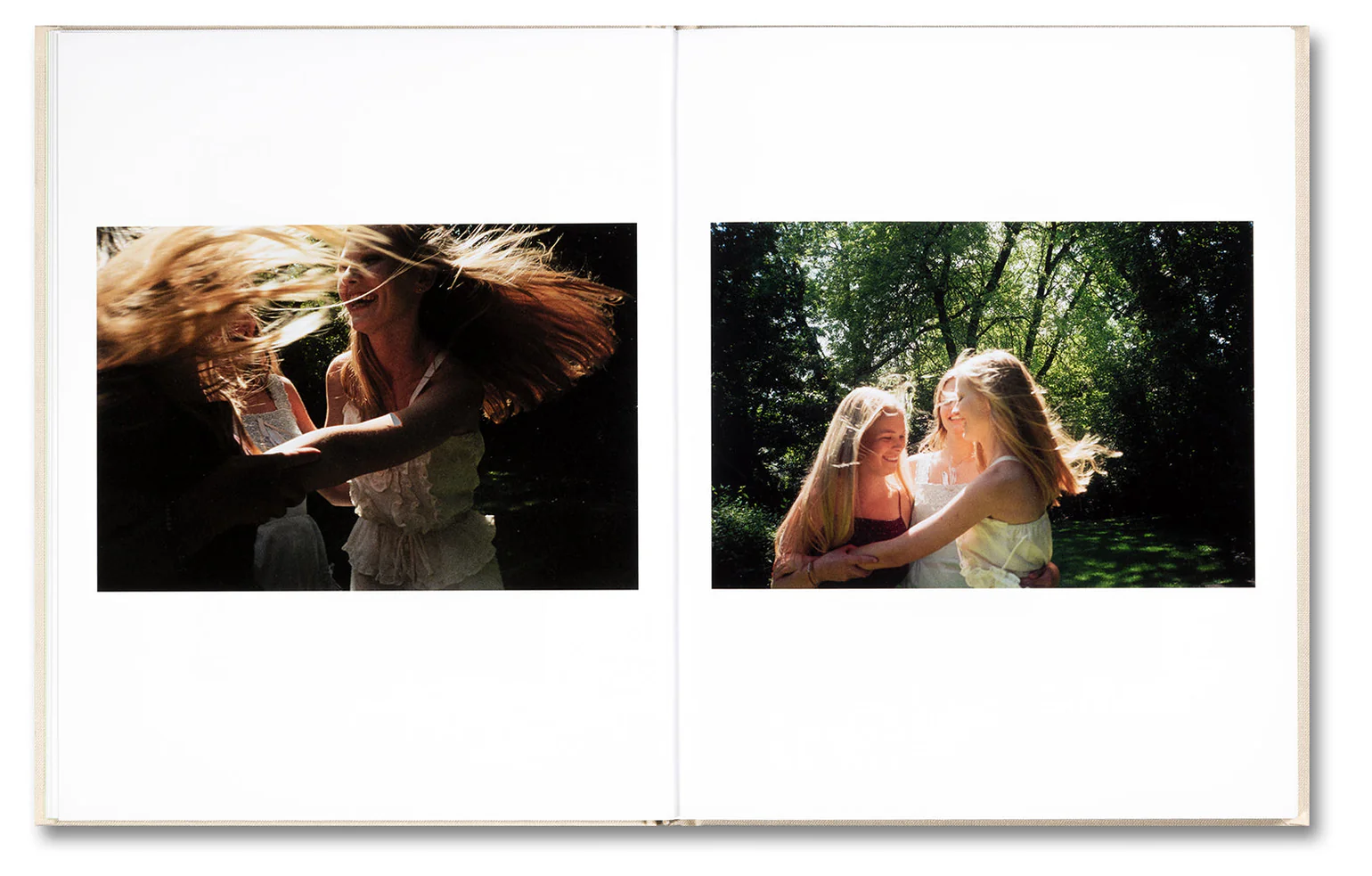 Image of Sofia Coppola – The Virgin Suicides