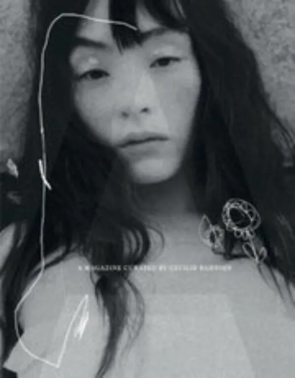 A Magazine 29: Curated by Cecilie Bahnsen . Published by A Magazine, 2025