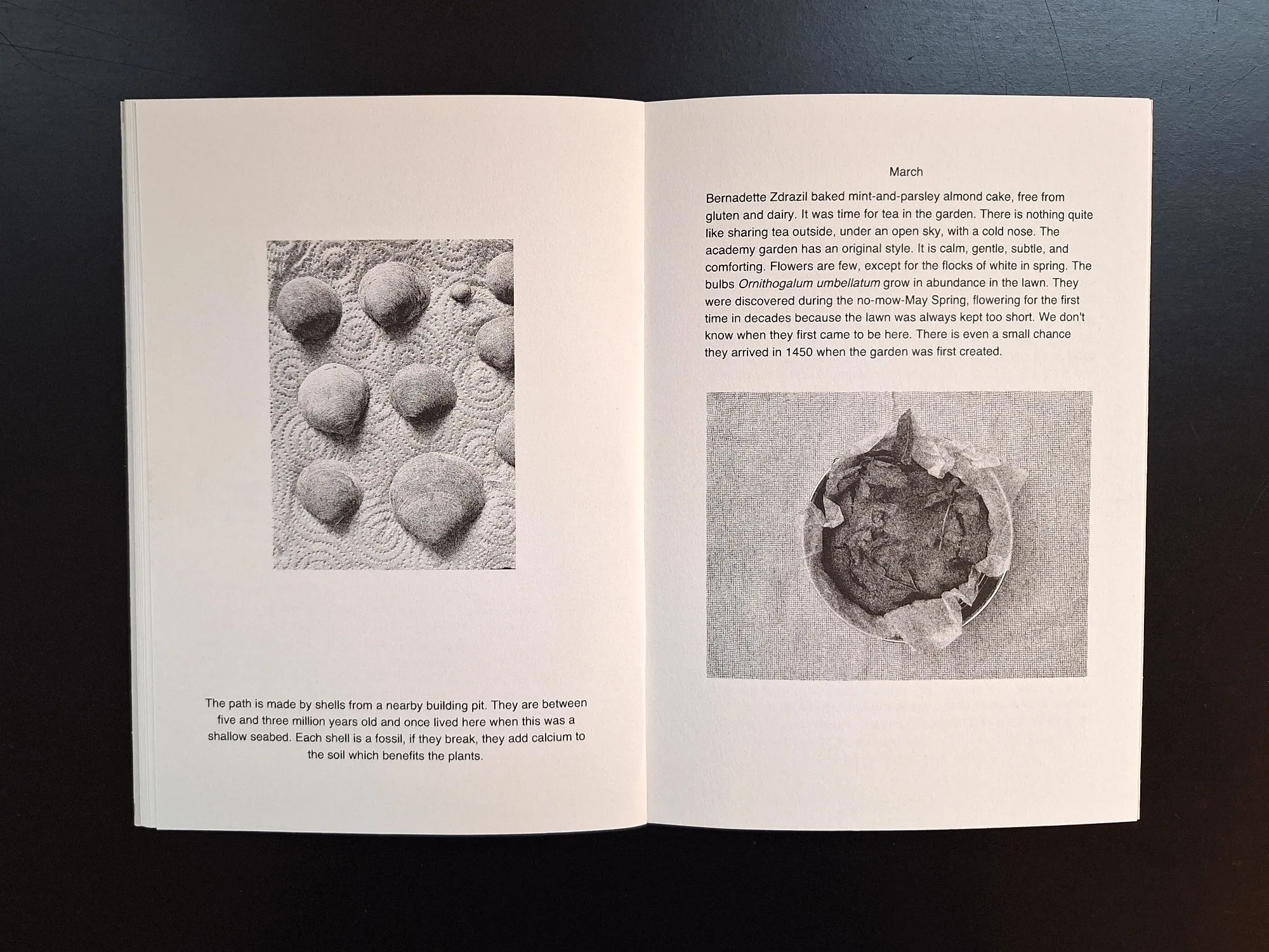 Image of Eline De Clercq – Postcards from the garden
