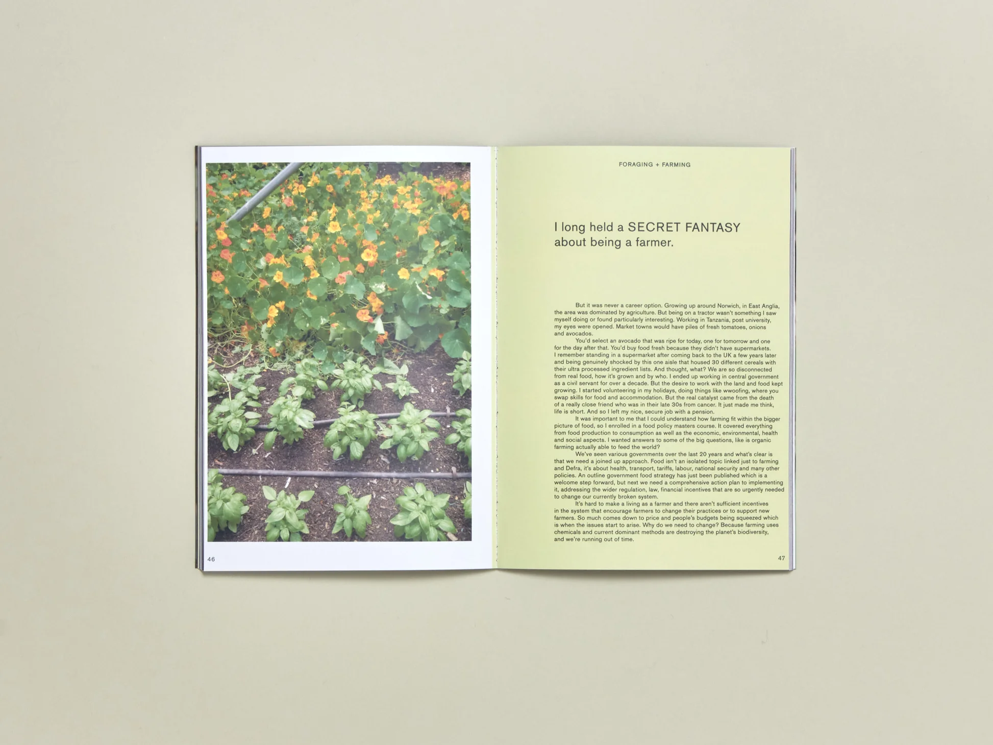 Image of Nature Zine Issue II, Urban Food: Forging + Farming
