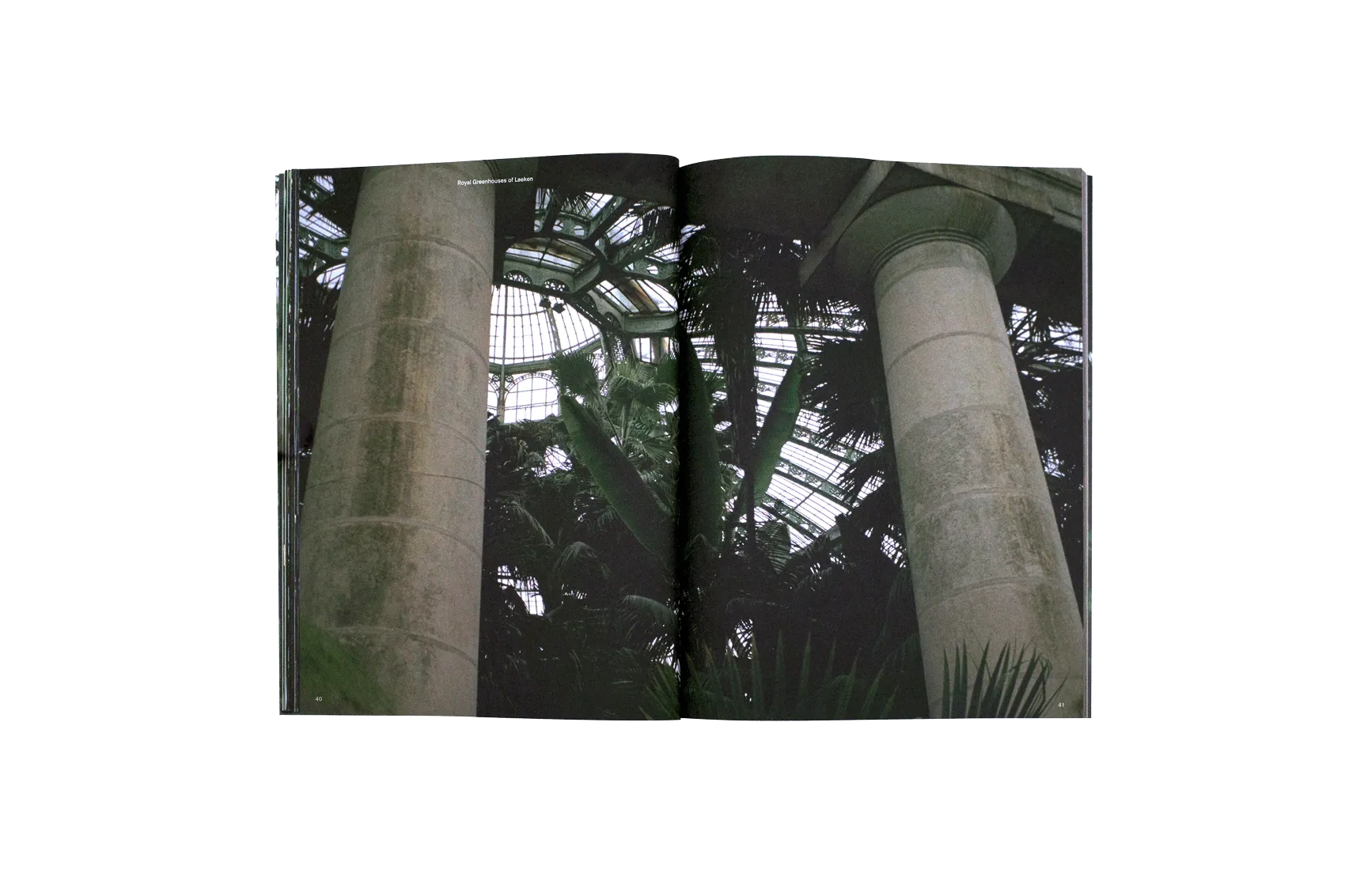 Image of Talisa Lallai – Post Tropical