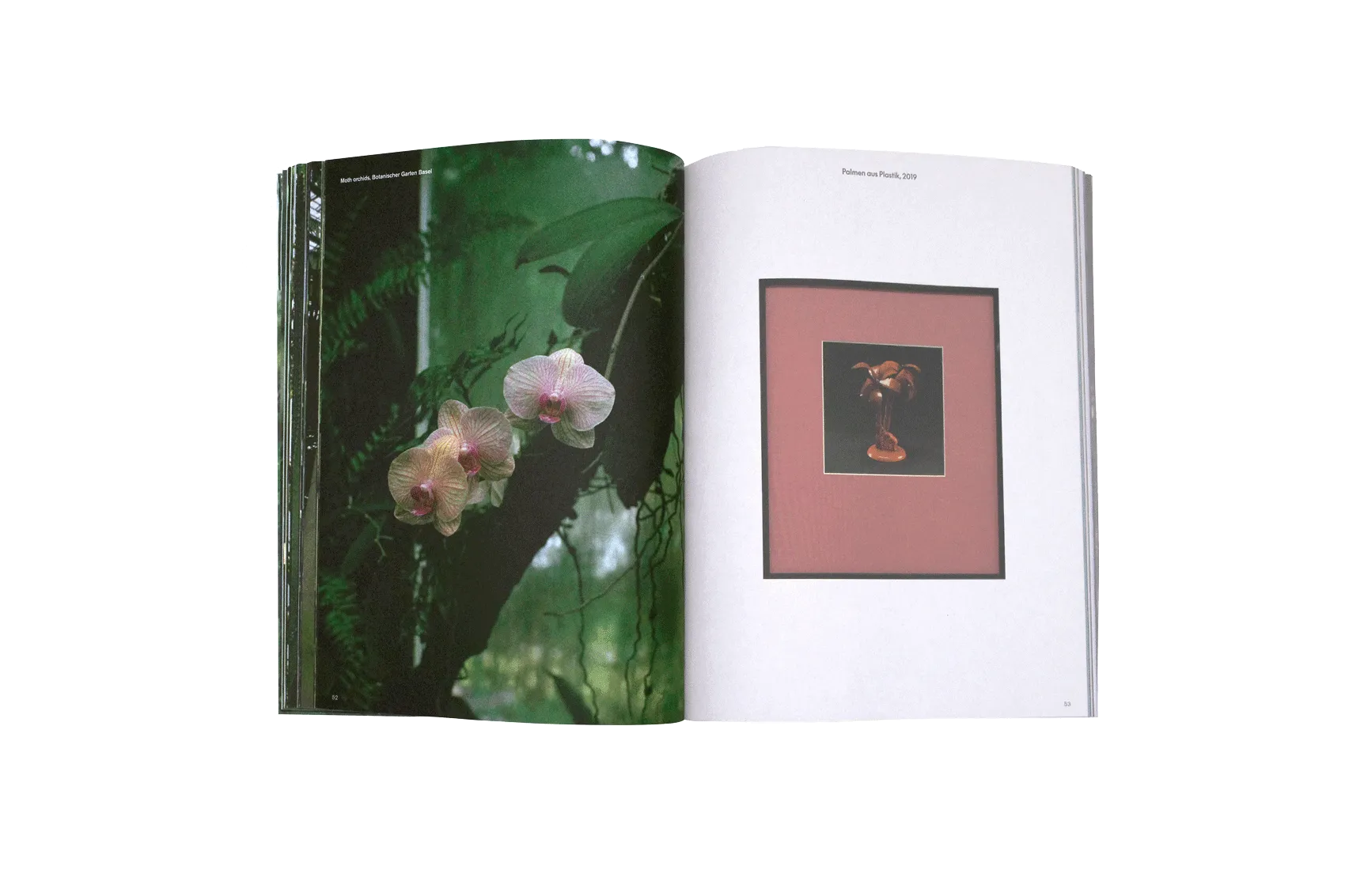 Image of Talisa Lallai – Post Tropical