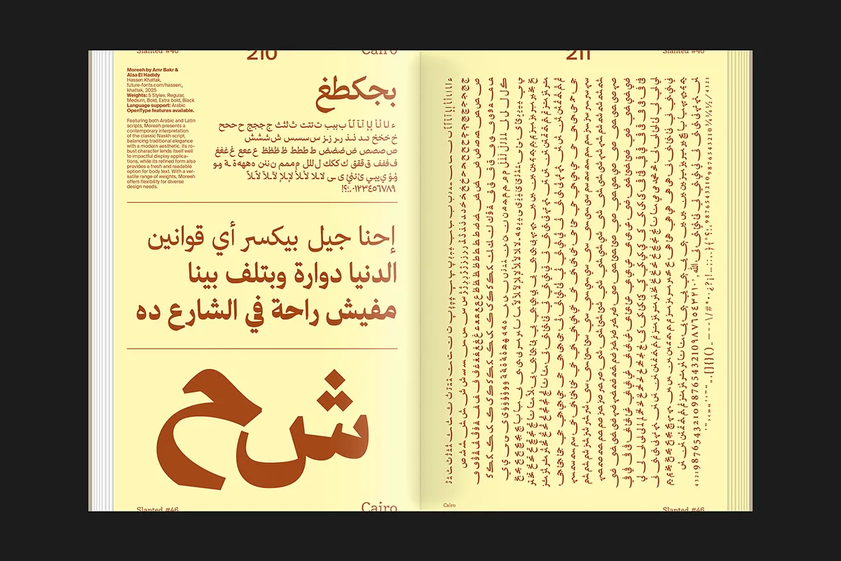 Image of Slanted 46: Cairo