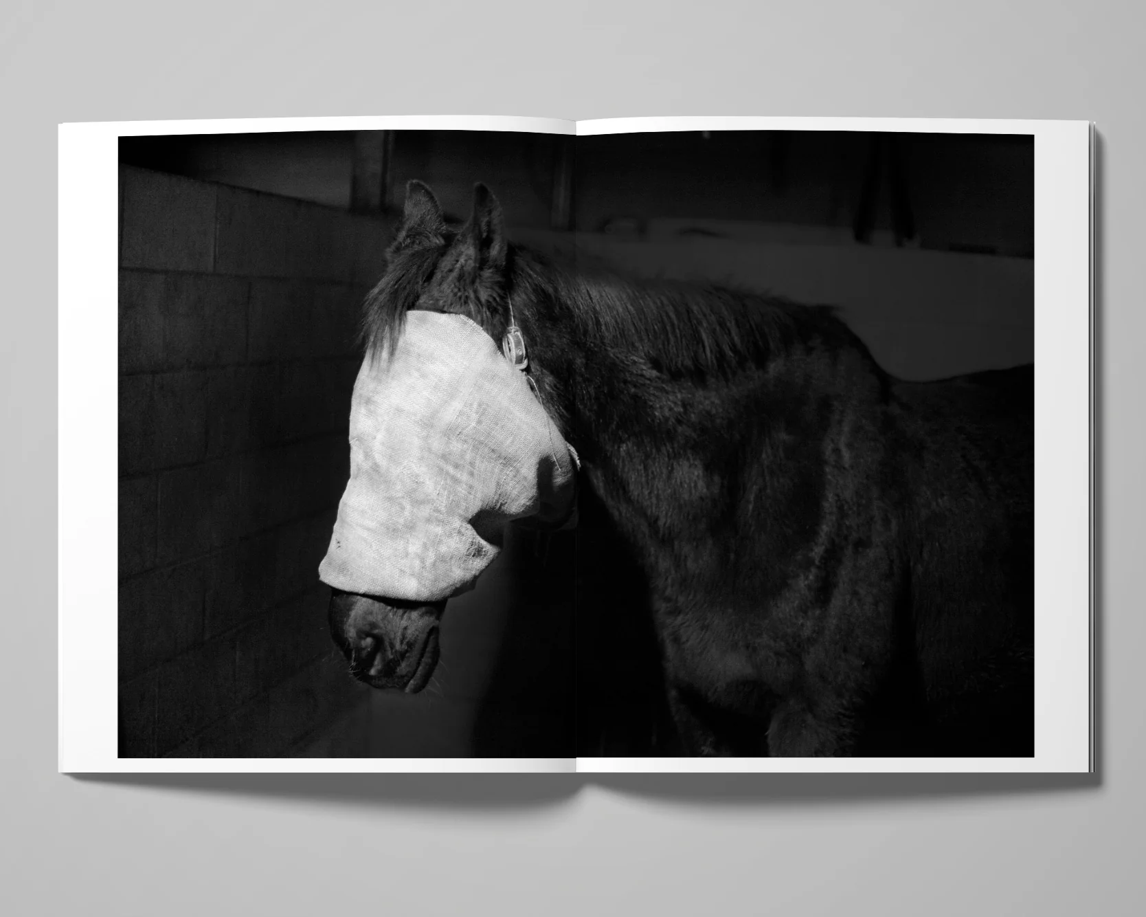 Image of Tom Callemin – Double Reality Image of Tom Callemin – Double Reality